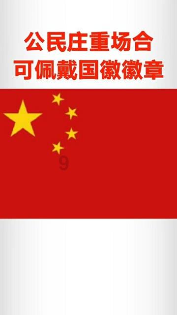 虫虫助手下载